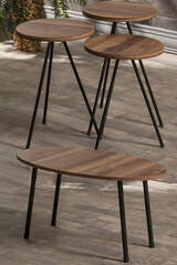 Nesting Table And Center Table Set Metal Ellipse Walnut