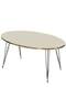 Center Table Ellipse Black Wire Leg Gold Cream