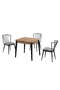 Tesla Walnut Table And Chair Set FRL1039