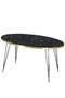 Center Table Ellipse Black Leg Gold Bendir Wire