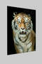Tiger Glass Painting Tiger Glass Painting