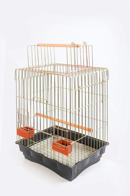 Parrot Cage