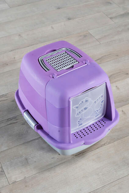 Indoor Cat Toilet Purple with Cat Figure