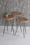 Center Table And Nesting Table Walnut Set Wire Leg Ellipse Center Table And Nesting Table Walnut Set Wire Leg Ellipse