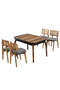 Asia Walnut Table And Chair Set FRL1019 Asia Walnut Table And Chair Set FRL1019