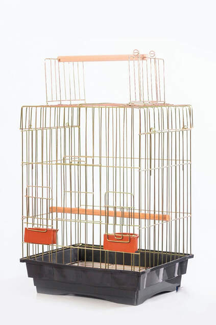 Parrot Cage