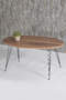 Center Table And Nesting Table Walnut Set Wire Leg Ellipse