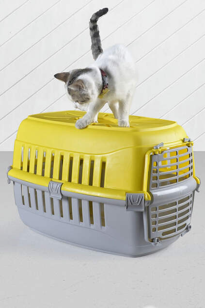 Cat Dog Carrying Bag Yellow