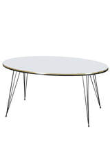 Center Table Ellipse Black Wire Leg Double Gold White