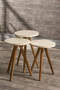 Nesting Table And Center Table Set Wood Lathe Ellipse Cream