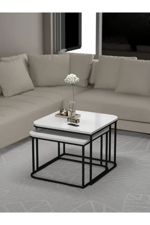 Damla 2-Piece Square Coffee Table - White
