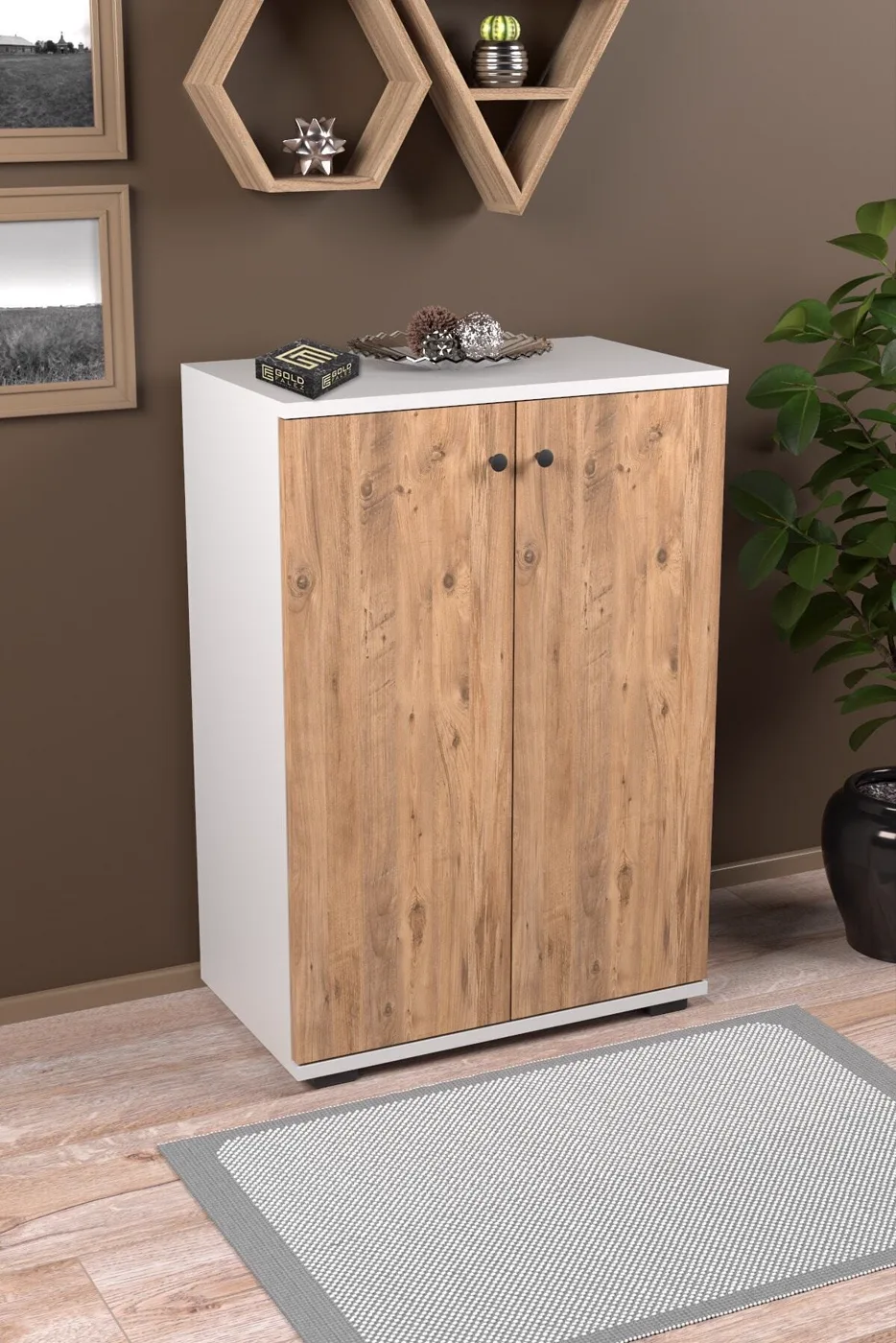 2-Door 5-Compartment Multi-Purpose Shoe Cabinet Pine White