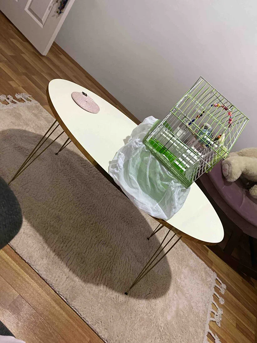 Customer photo